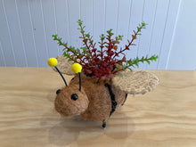 Load image into Gallery viewer, Pot Plant Holders- asst designs