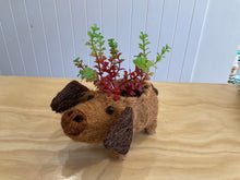 Load image into Gallery viewer, Pot Plant Holders- asst designs