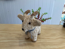 Load image into Gallery viewer, Pot Plant Holders- asst designs