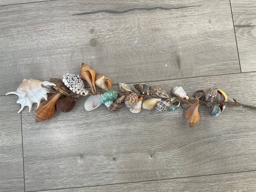 Shell hanger- multi coloured
