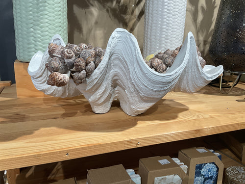 Clam shell- medium 40x26 white
