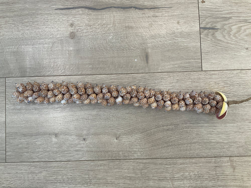 Shell hanger- multi coloured