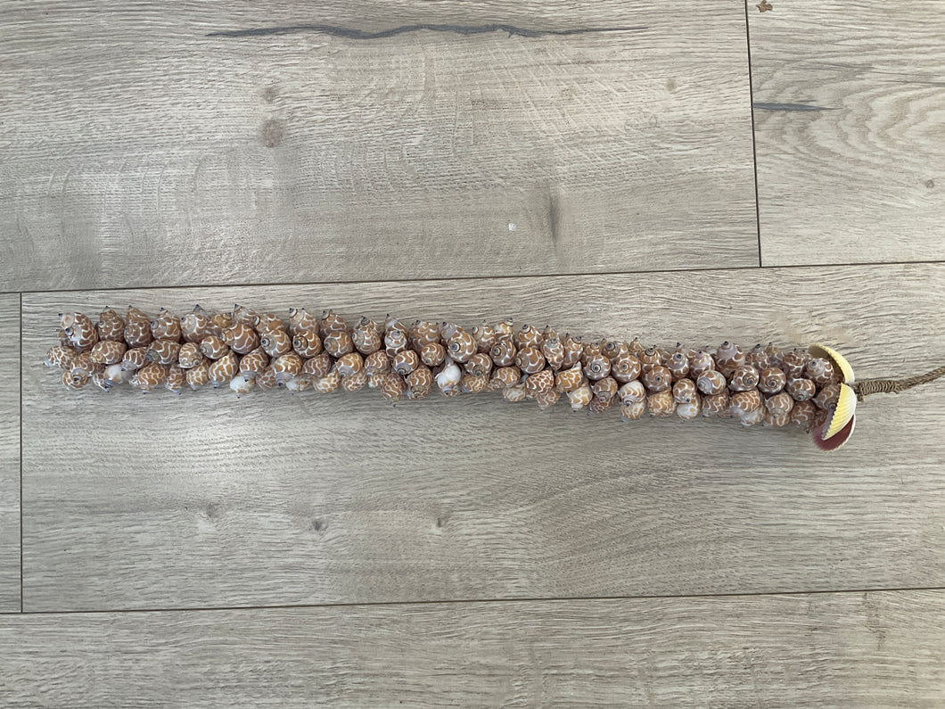 Shell hanger- multi coloured