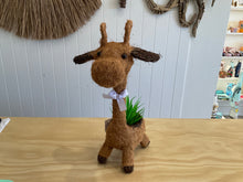 Load image into Gallery viewer, Pot Plant Holders- asst designs