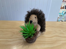 Load image into Gallery viewer, Pot Plant Holders- asst designs