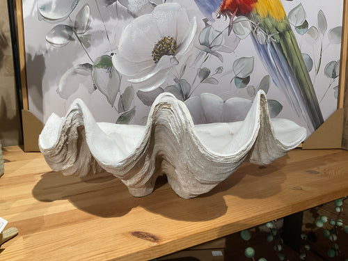 Clam shell-medium 40x26 Natural