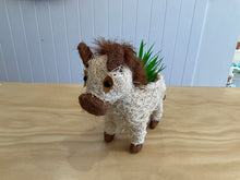 Load image into Gallery viewer, Pot Plant Holders- asst designs