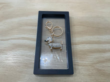 Load image into Gallery viewer, Keyring- asst
